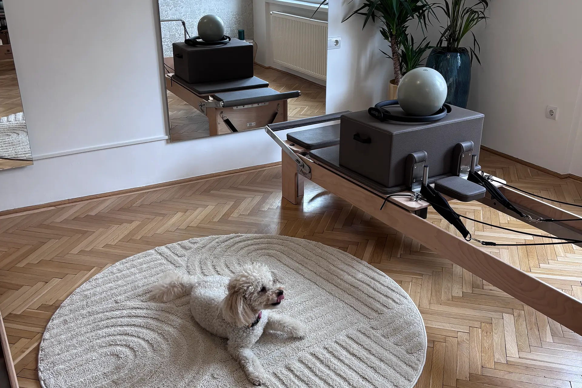 Az ST Pilates Studio nyugodt, modern belső tere a Hegyvidéken